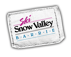 Snow Valley Logo - Flywheel Strategic