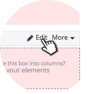 Edit Layout Control Properties The edit button on a layout control will allow the properties to be modified