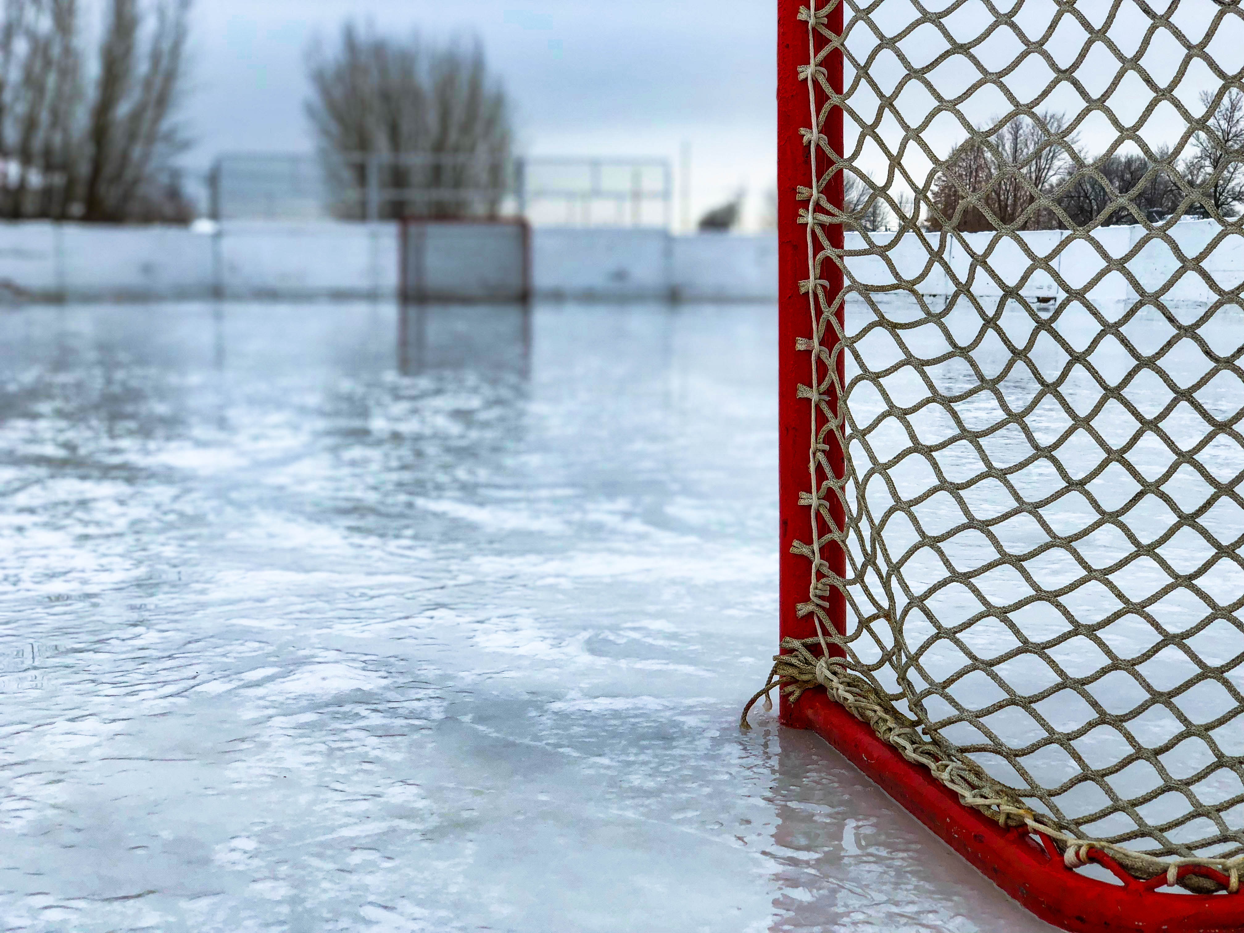 Skating rink with hockey net