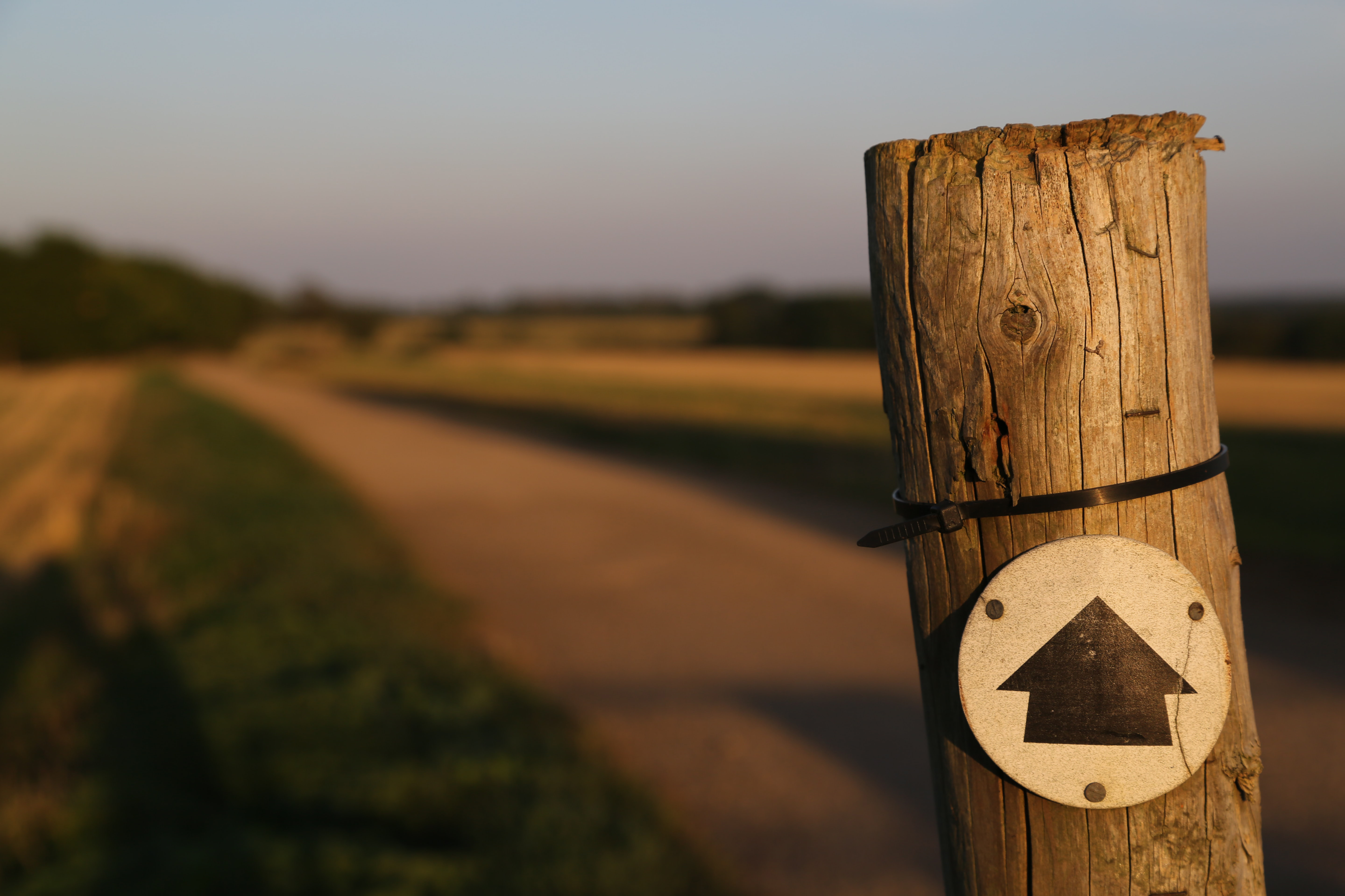 Arrow showing the path ahead