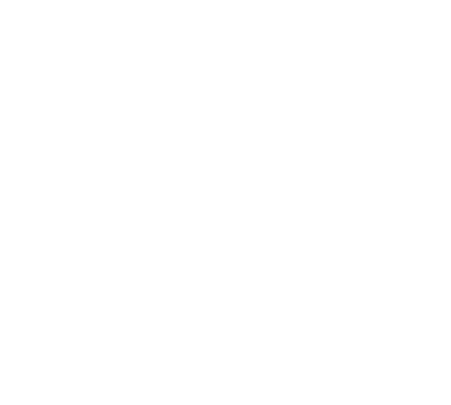 The Training Boss Logo
