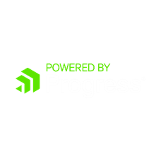 This graphic is used under license to prove we are a Progress Partner